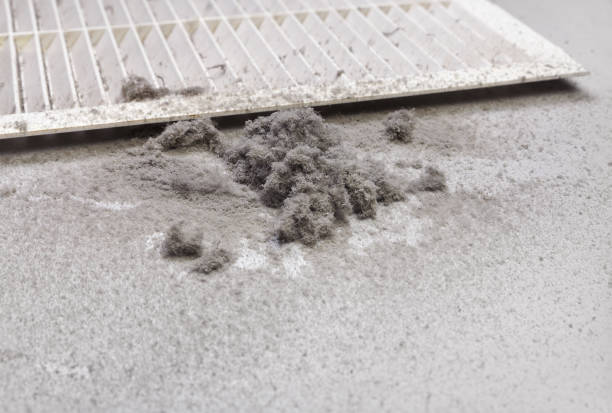 Best Air Duct Cleaning Company Near Me  in Florence, MS